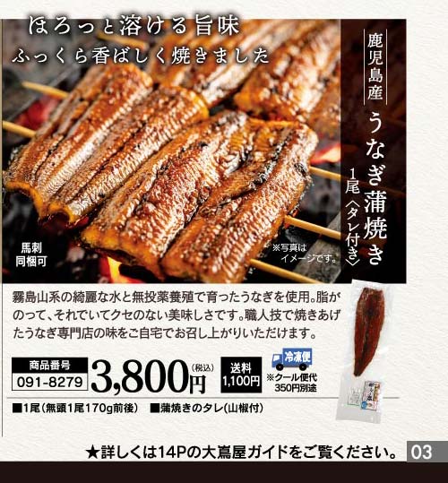 うなぎの蒲焼き