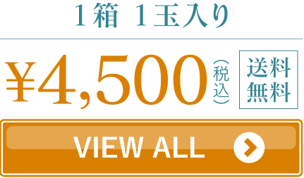 メロン1玉