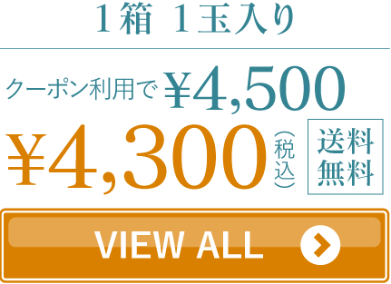 メロン1玉