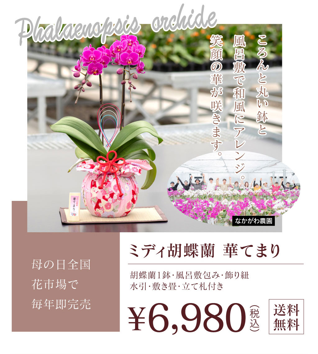 母の日華てまり