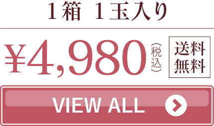 小玉スイカ1玉