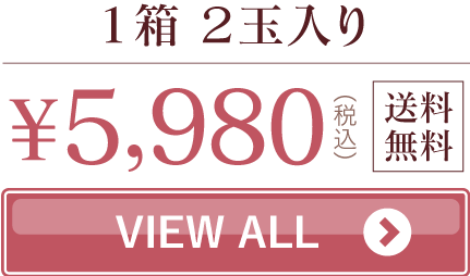 小玉スイカ2玉