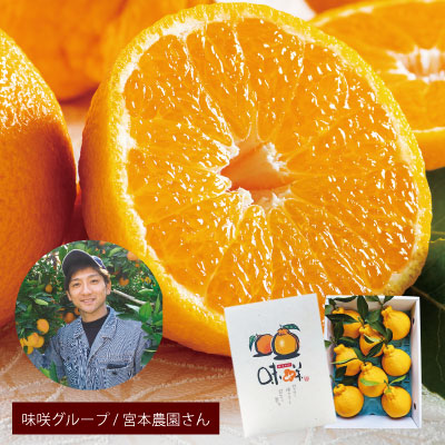 プレミアムハウスデコ