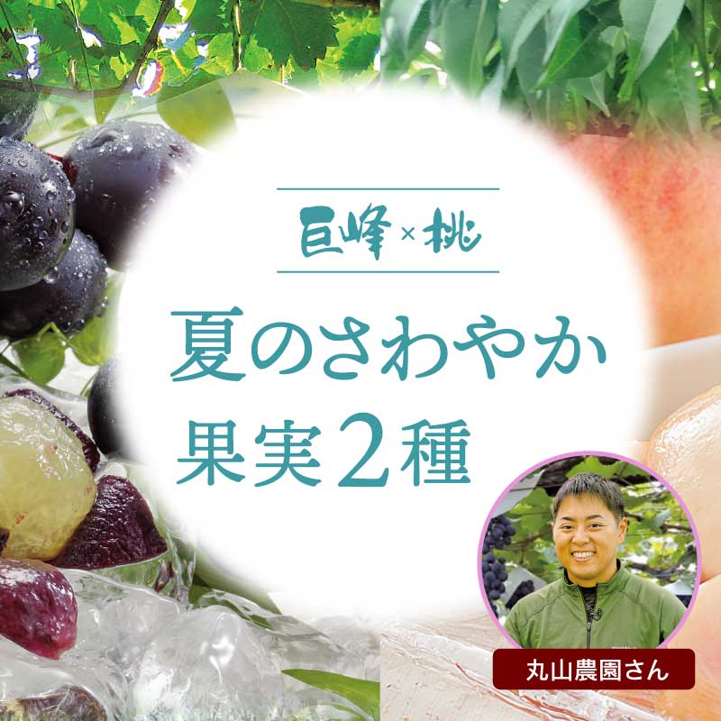 夏の爽やか果実2種