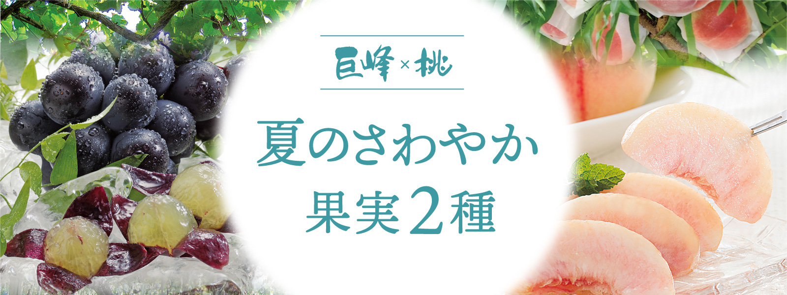 夏の爽やか果実2種