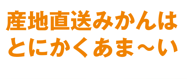 産地直送のみかんはとにかくあまい