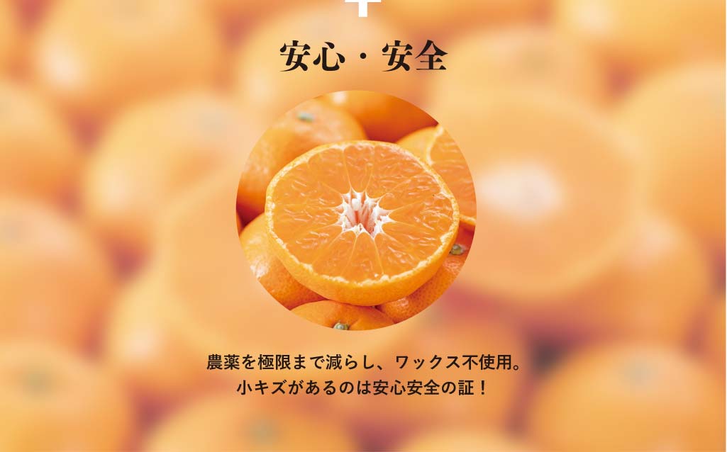 安心安全。農薬を極限まで減らし、ワックス不使用。小キズがあるのは安心安全の証！