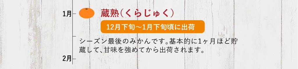 蔵熟みかん（青島みかん・晩生みかん）シーズン最後のみかんです。基本的に1ヶ月ほど貯蔵して、甘味を強めてから出荷されます。