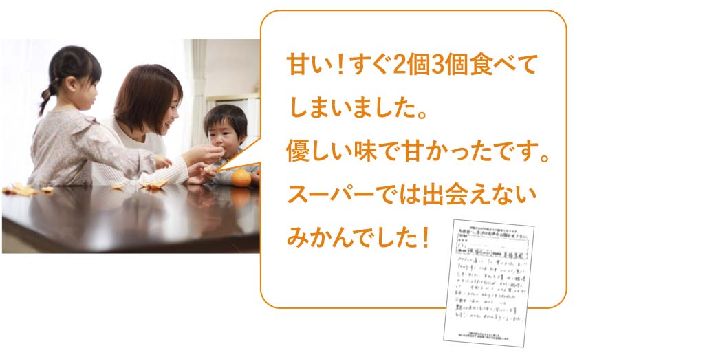 甘い！すぐ2個3個食べてしまいました。優しい味で甘かったです。スーパーでは出会えないみかんでした！