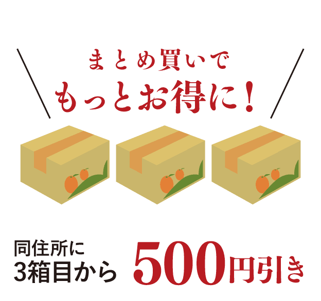 まとめ買いでもっとお得に。同住所に3箱目から500円引き