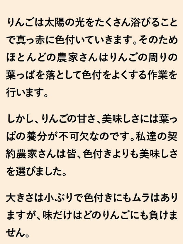 りんごは太陽の光をたくさん浴びることで真っ赤に色付いていきます。そのためほとんどの農家さんはりんごの周りの葉っぱを落として色付をよくする作業を行います。しかし、りんごの甘さ、美味しさには葉っぱの養分が不可欠なのです。私達の契約農家さんは皆、色付きよりも美味しさを選びました。大きさは小ぶりで色付きにもムラはありますが、味だけはどのりんごにも負けません。