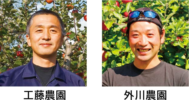 青森りんご生産者