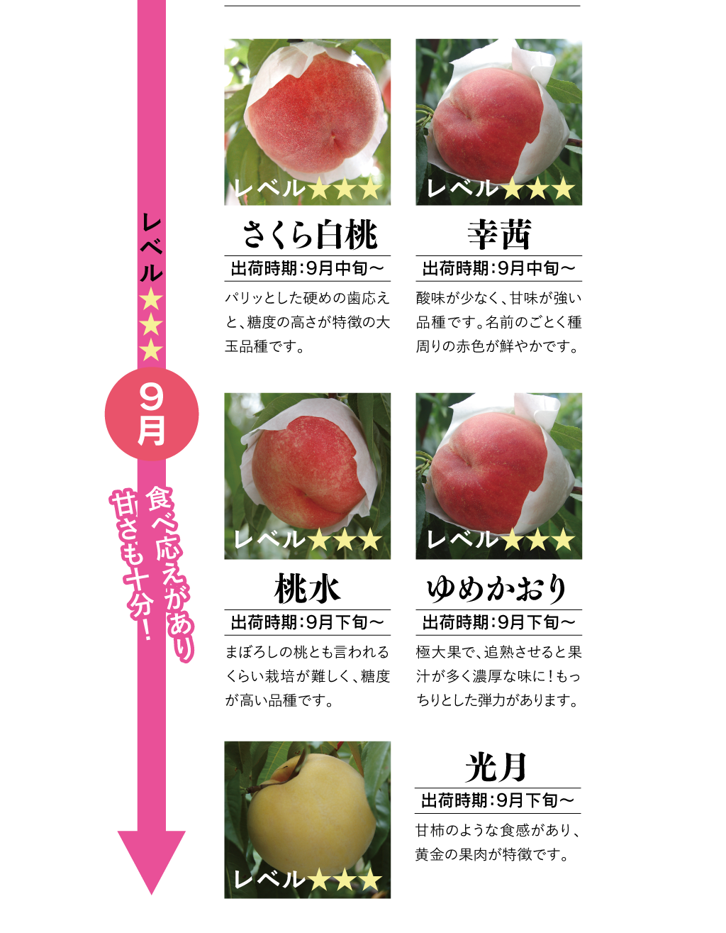 8月のモモ一覧