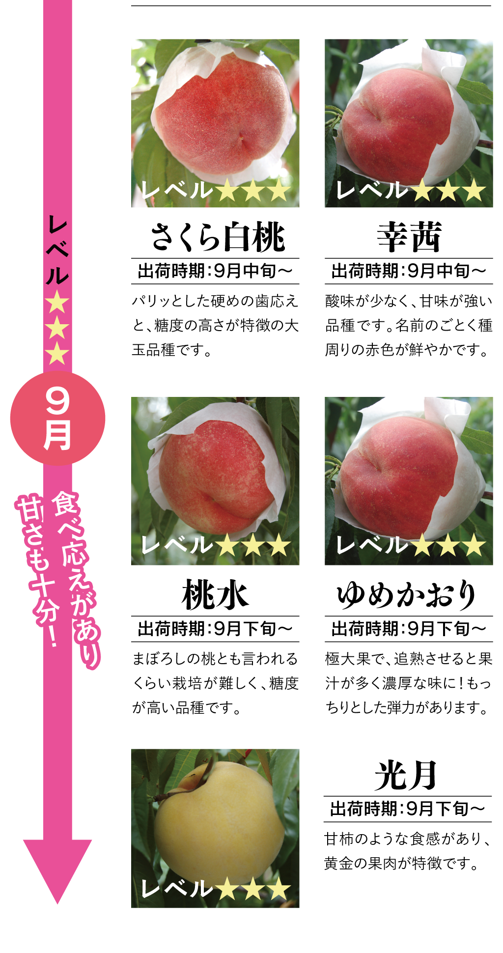 8月のモモ一覧