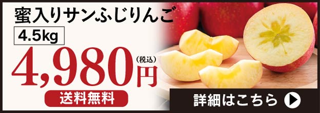 長野県産蜜入りサンふじりんご4.5kg 4,980円