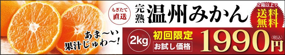 初回完熟温州みかん