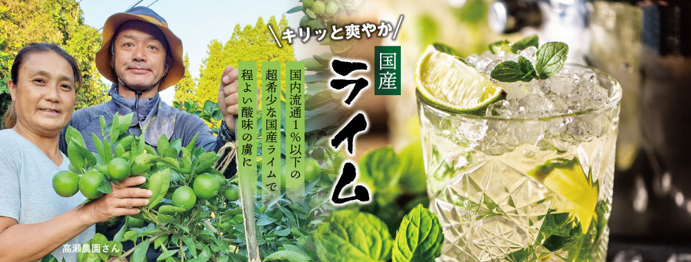 lime_slide.jpg