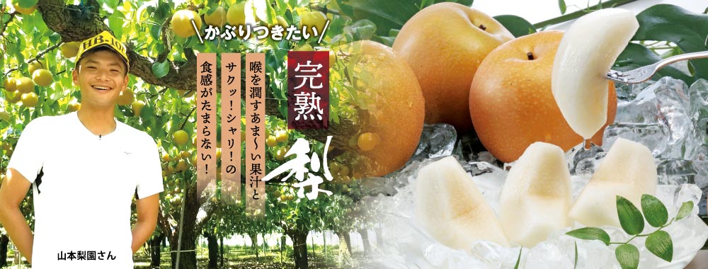 /img/bnr/top_slide_nashi.jpg