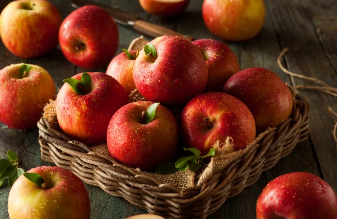 葉とらずふじりんご