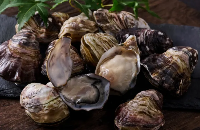 キューティーカキー