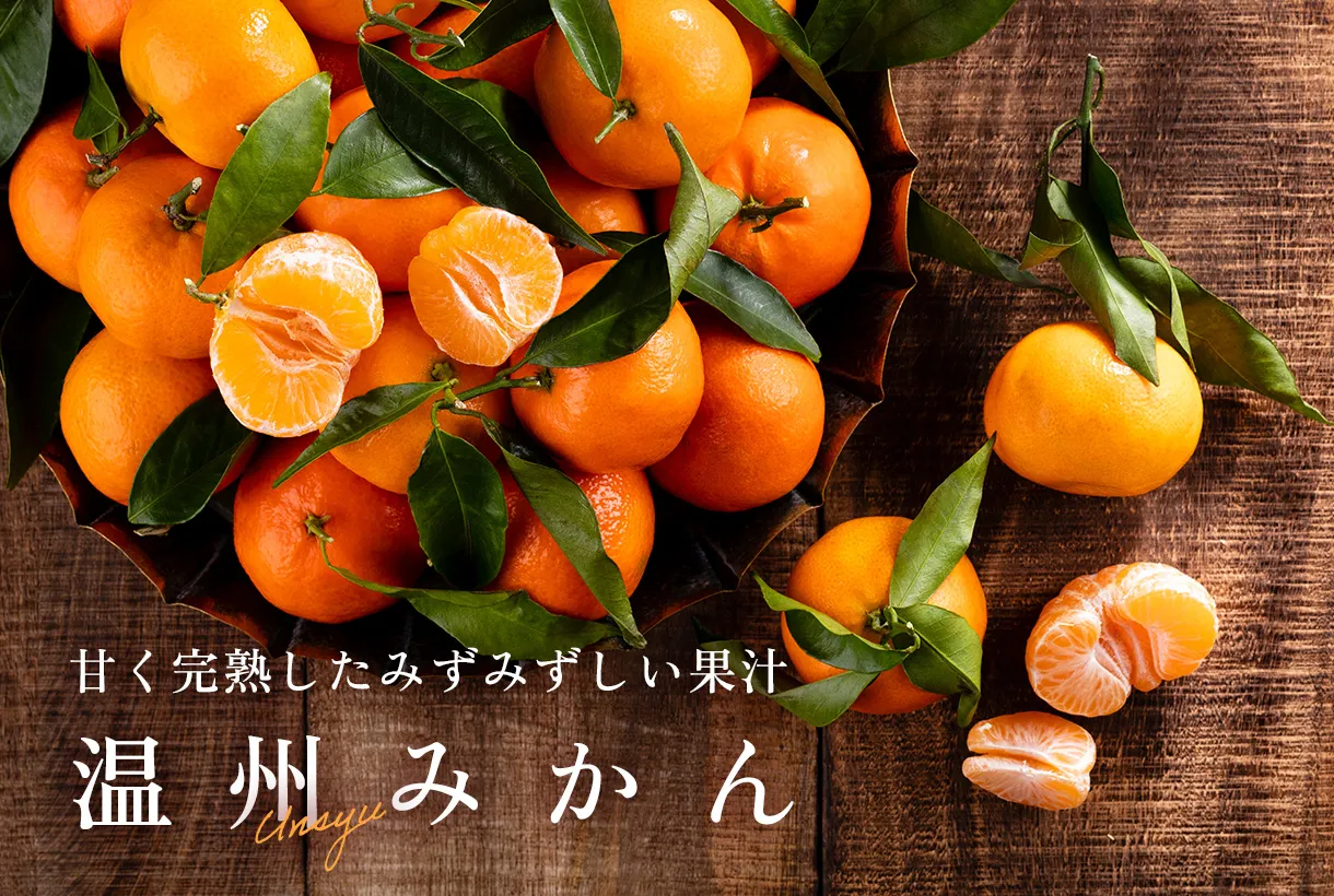 公式】大嶌屋（おおしまや）オンラインショップ