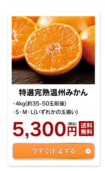 温州みかん
