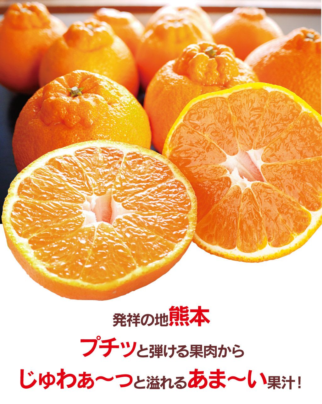 不知火完熟おでこちゃん