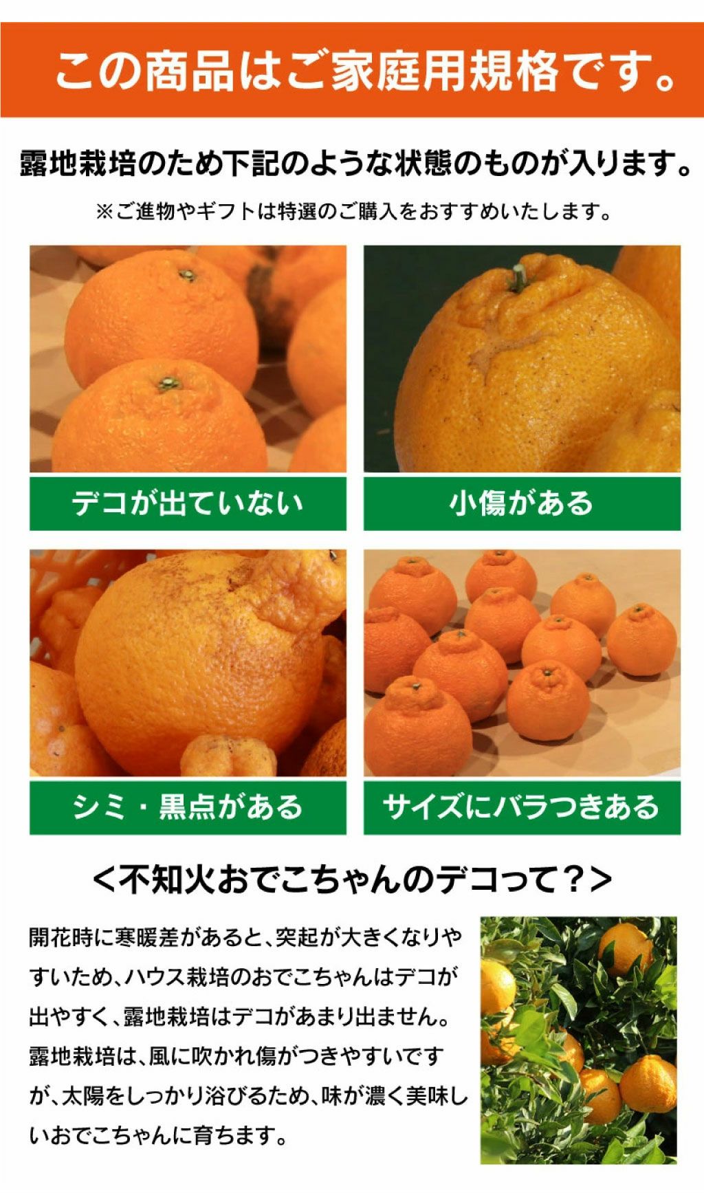 不知火完熟おでこちゃん