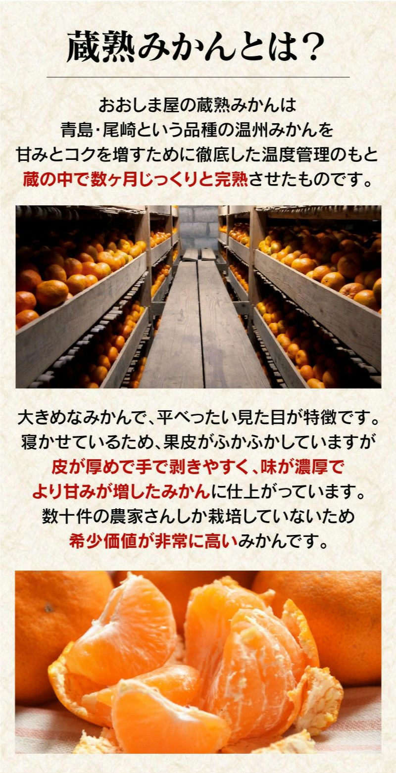 蔵熟みかん 4kg（約24玉-40玉前後） 送料無料 温州みかん ミカン 貯蔵