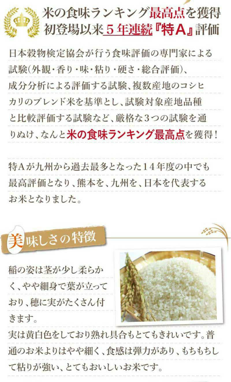 特別栽培米 森のくまさん 5kg