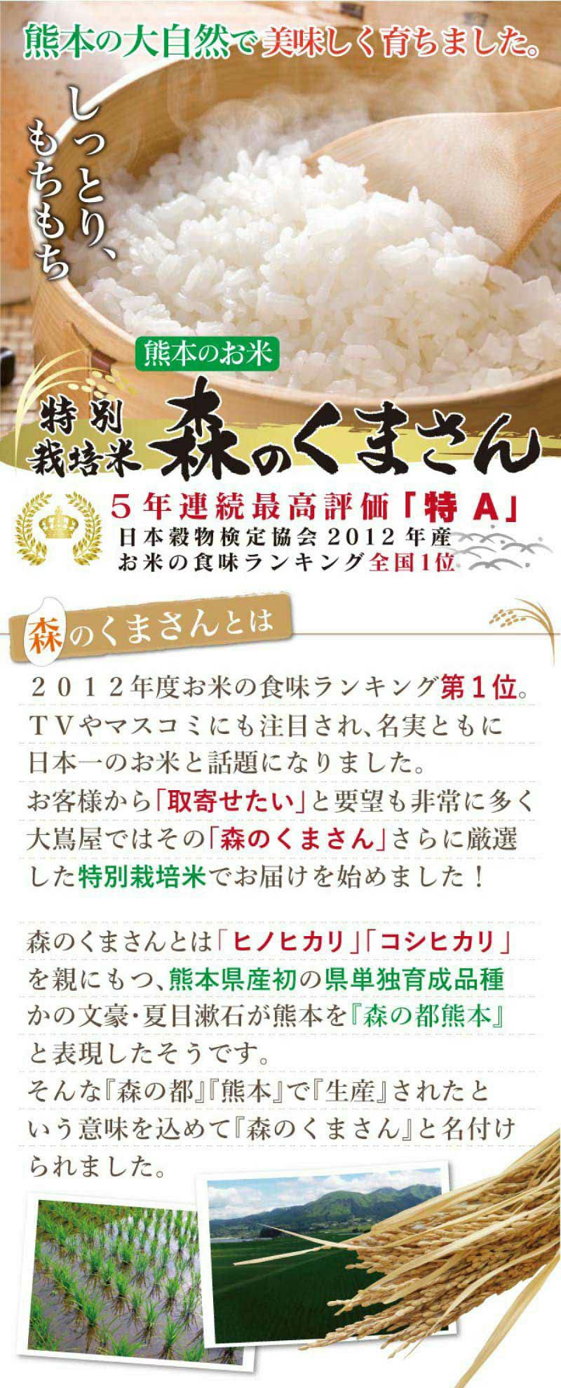 特別栽培米 森のくまさん 10kg【定期便】 【0510076】 | おおしま屋