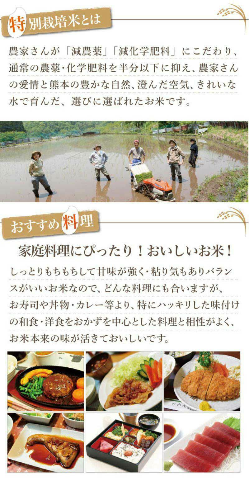  特別栽培米 森のくまさん 10kg