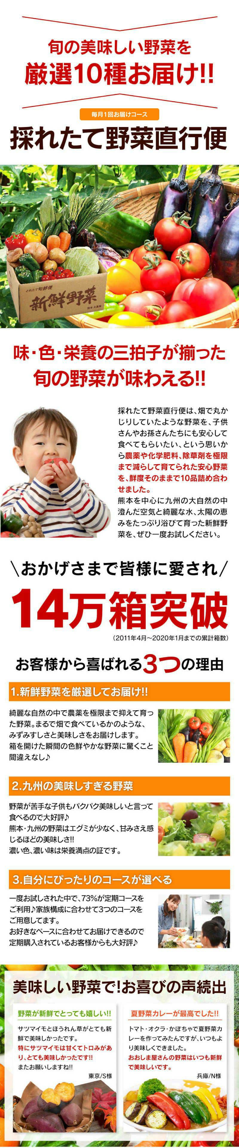 採れたて野菜直行便【定期便】