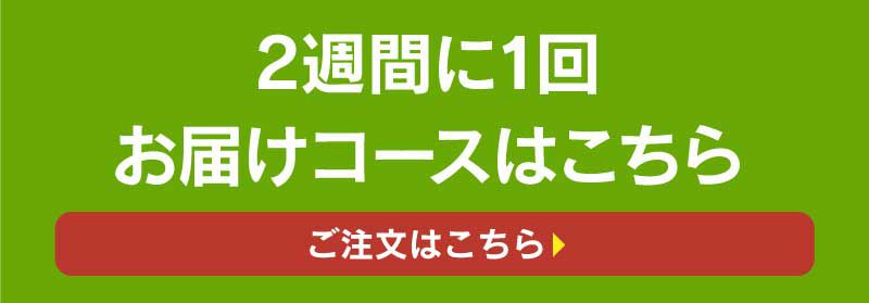 採れたて野菜直行便【定期便】