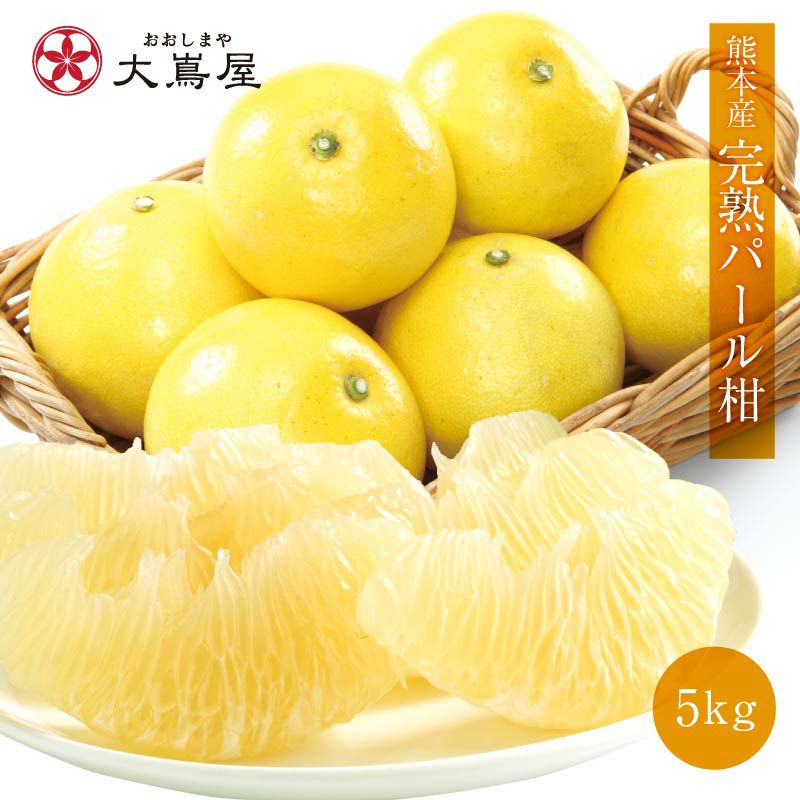 肥後文旦（パール柑） 5kg(約9玉-12玉) 文旦 ぶんたん 送料無料 ＜2月