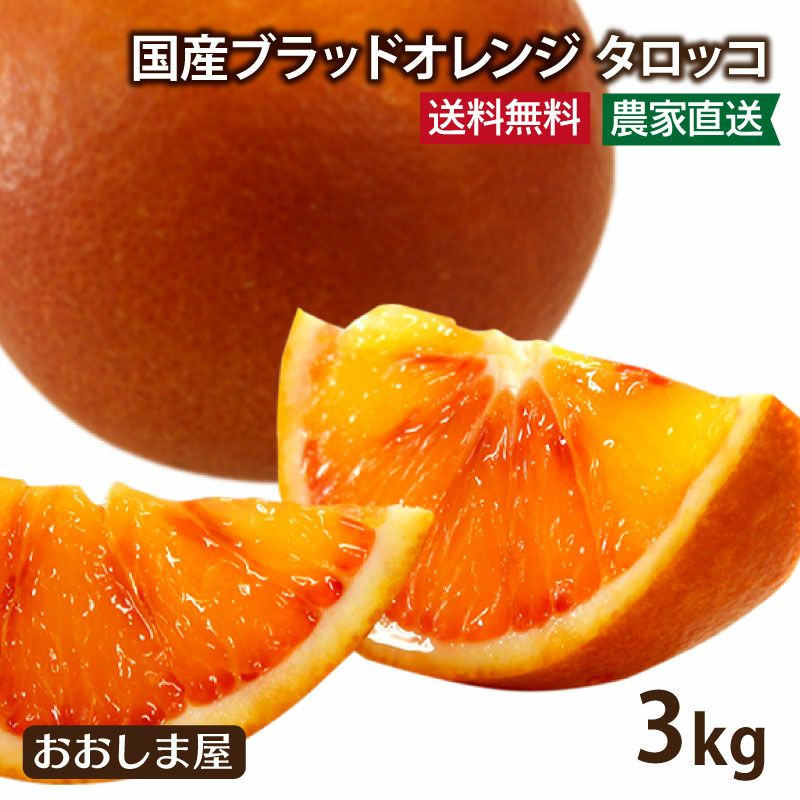 愛媛県産 ブラッドオレンジ タロッコ 3kg（S-Mサイズ大小混合