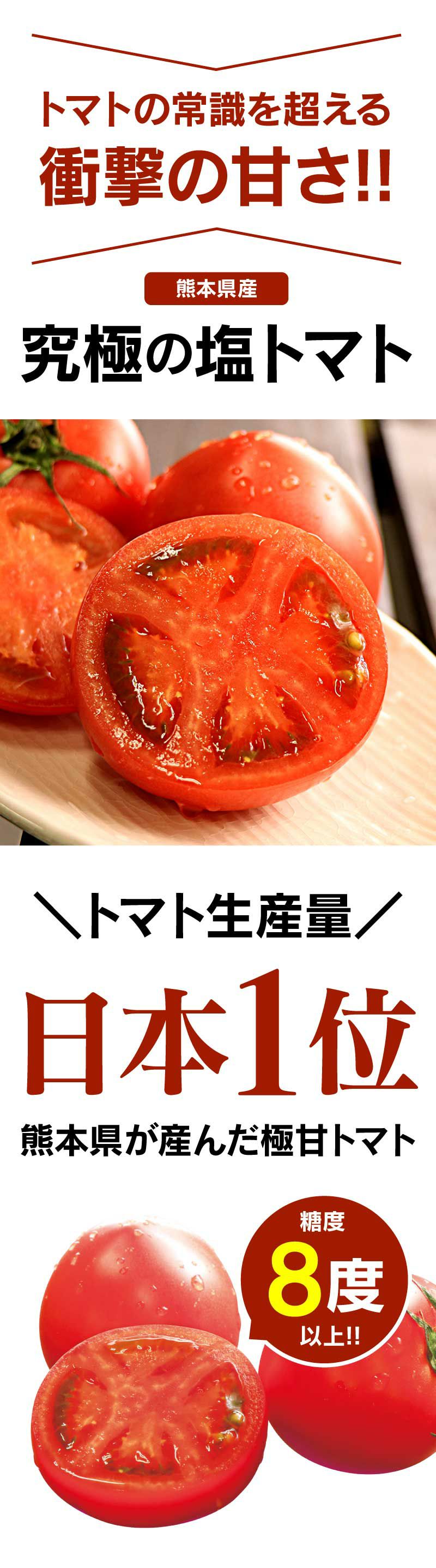 熊本産 塩トマト