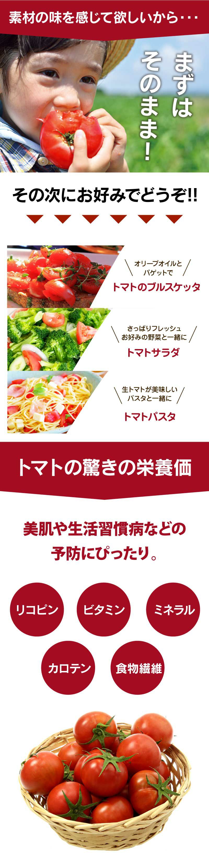 熊本産 塩トマト