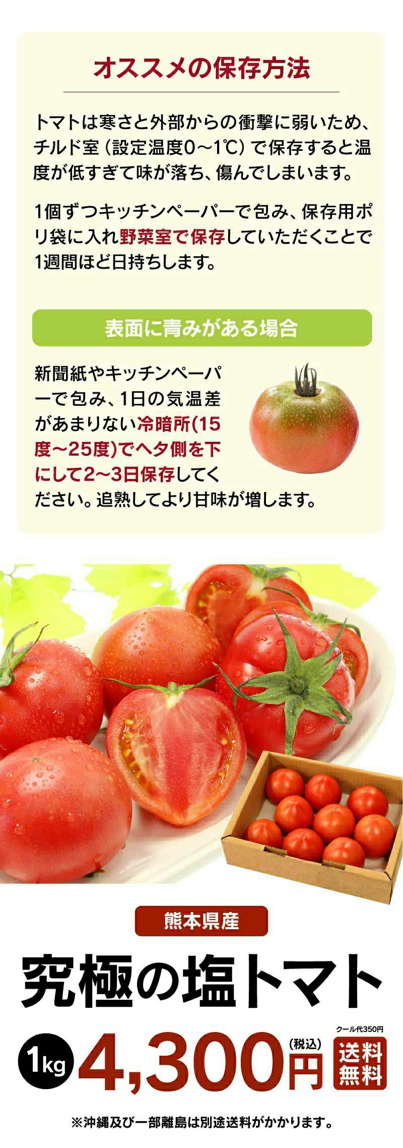 熊本産 塩トマト