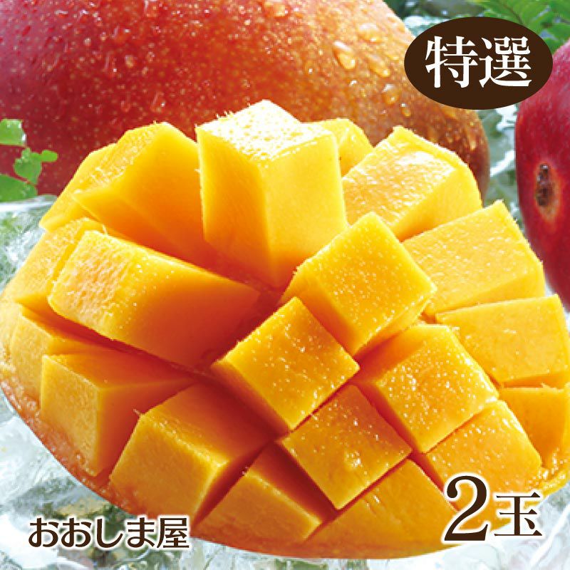 玉揃え 完熟マンゴー