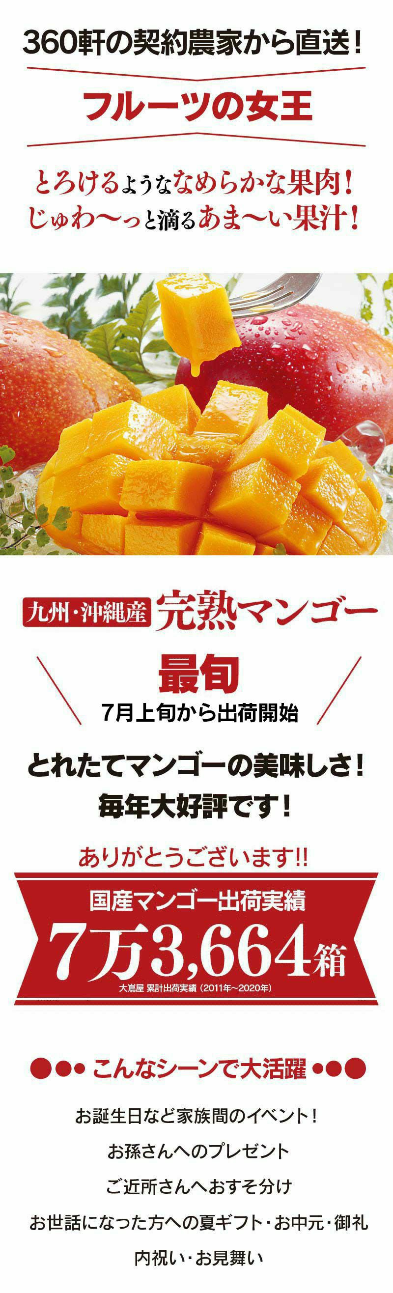 完熟マンゴー 2玉 九州沖縄産 国産 玉揃え 送料無料（クール料金別途