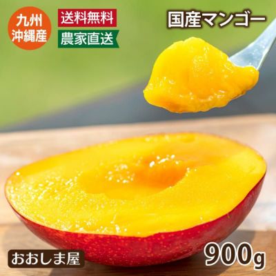  国産 完熟マンゴー 900g