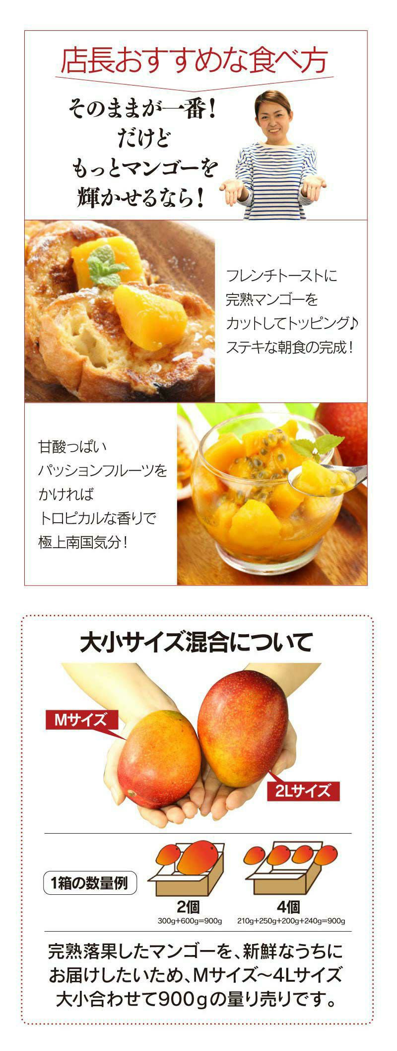  国産 完熟マンゴー 900g