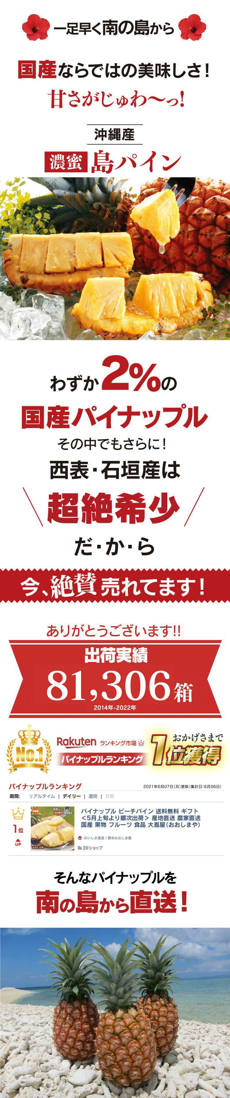 沖縄 パイナップル 島パイン 2.5kg 送料無料 約2玉～6玉入り 農家直送