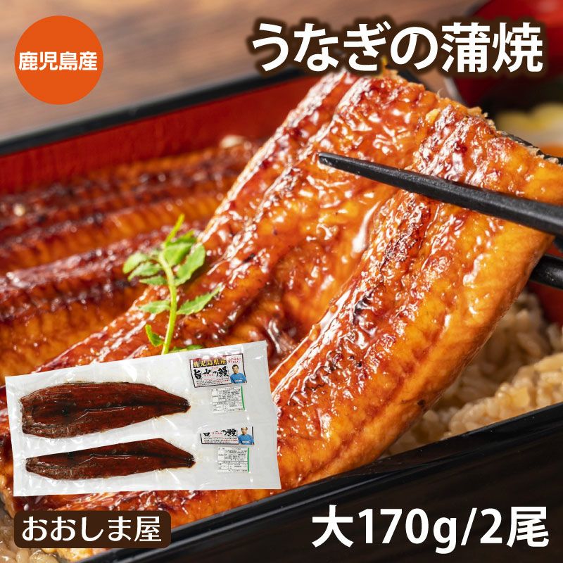 国産 うなぎ蒲焼き 大サイズ2尾(170g×2)セット（タレ付き