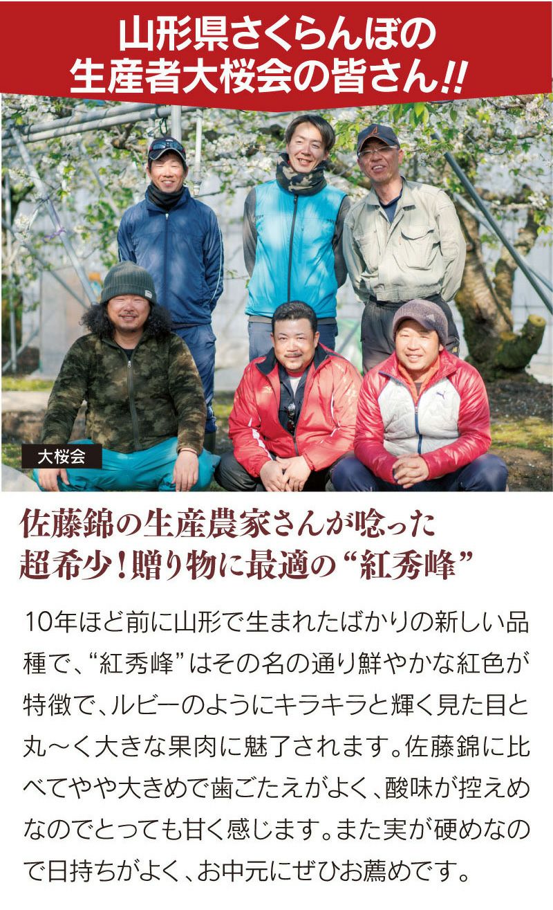紅秀峰 山形 さくらんぼ 700g 