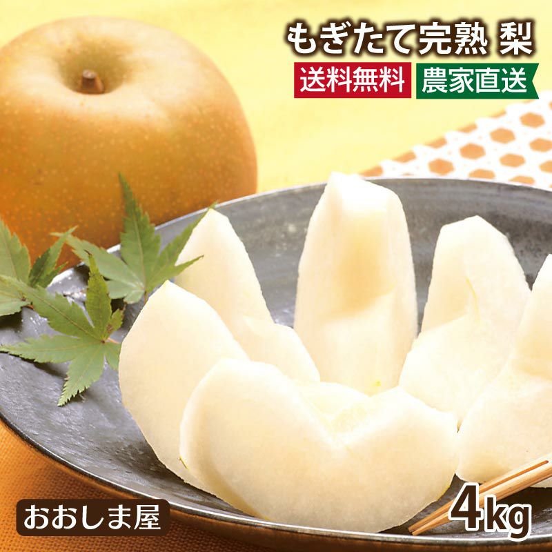 樹上完熟 もぎたて梨 4kg（6～16玉） 送料無料 品種おまかせ ＜8月下旬