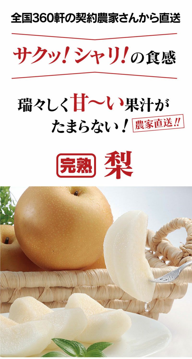 樹上完熟 もぎたて梨