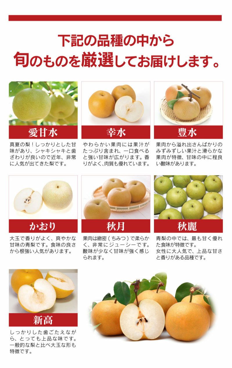 樹上完熟 もぎたて梨