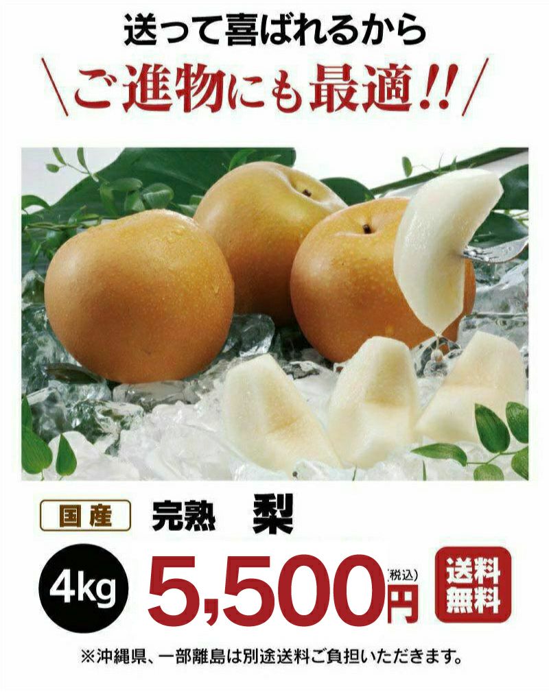 樹上完熟 もぎたて梨